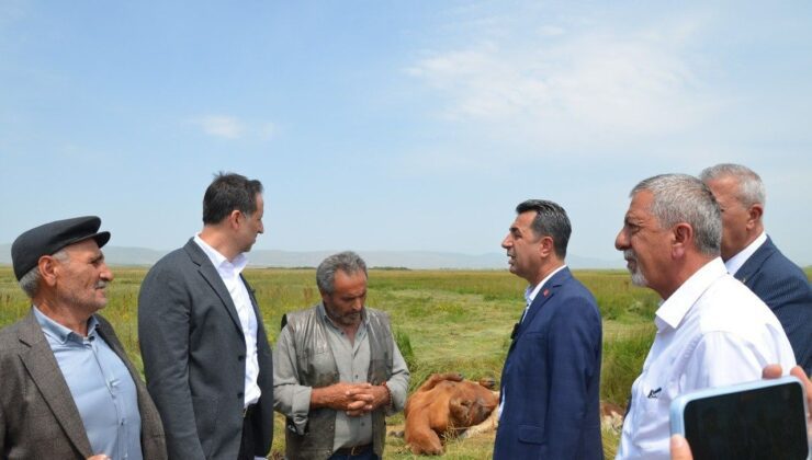 CHP’li Erhan Adem: “Kars ve Ardahan’da Tarımsal Afet Yaşanıyor!”