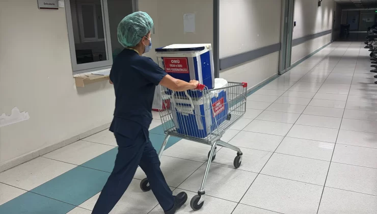 Sinop’ta Genç Kızın Organları 3 Hastaya Umut Oldu