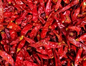 Ticaret Bakanlığı’ndan Kırmızı Biber Tohumu Operasyonu: 15 Ton Tohuma El Konuldu