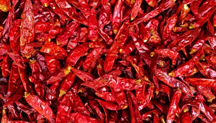 Ticaret Bakanlığı’ndan Kırmızı Biber Tohumu Operasyonu: 15 Ton Tohuma El Konuldu