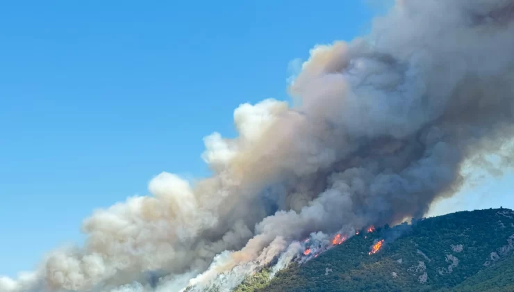 Manisa Soma’da Kozanlı Mahallesi’nde Orman Yangını: Havadan ve Karadan Müdahale Sürüyor