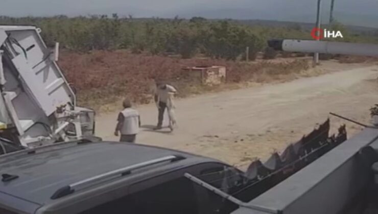 Sakarya’da Yürek Yakan Anlar: Oyun Oynayan 2 Köpek Çöp Kamyonunun Altında Can Verdi