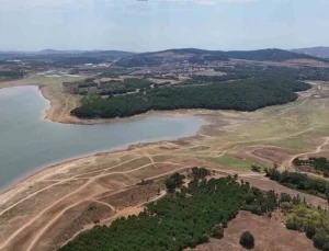 İstanbul’un Su Rezervleri Kritik Seviyede: Baraj Doluluk Oranı Yarıya Düştü