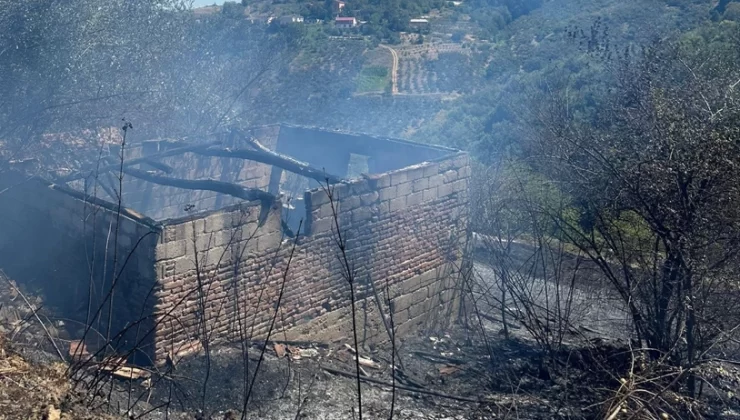 Bafra’da Fındık Bahçesinde Yangın: 20 Dönüm Alan ve Ev Zarar Gördü