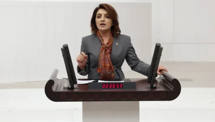 CHP’den Kritik Uyarı: “Genç İşsizliği Rekor Kırıyor, TÜİK Rakamları İnanılır Değil”