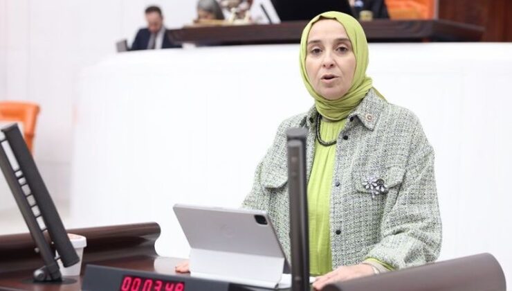 DEVA Partili Elif Esen’den Meclis’e İş Gücü Piyasası Soruları: Ücretler, Kadın İstihdamı ve Genç İşsizlik Gündemde