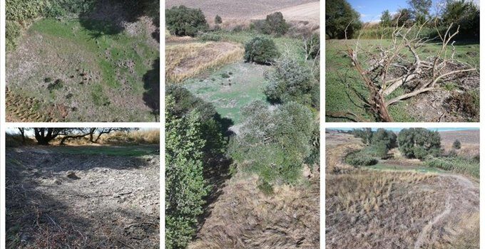 Kuraklık Musabeyli Göleti’ni Yok Etti