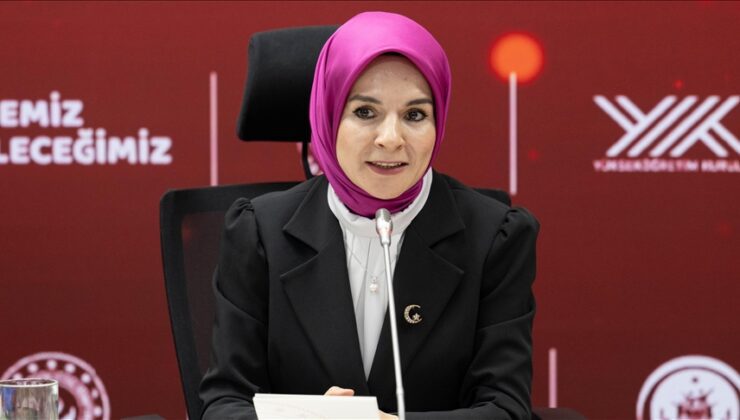 Bakan Göktaş: Mücadelede 5. Plan Yolda