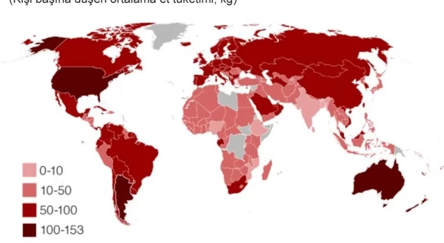 Türkiye, Kişi Başına Et Tüketiminde Dünya Sıralamasında Nerede?