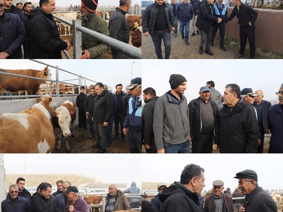 BAŞKAN DEMİR’DEN HAYVAN PAZARINA ZİYARET