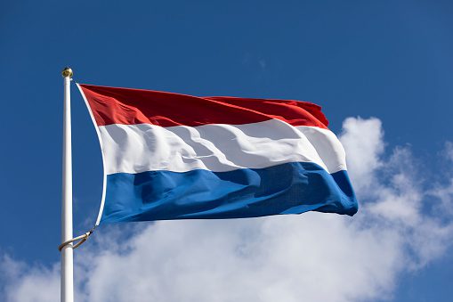 Hollanda Seçimlerinde Şaşırtan Sonuç : Liberaller İlk Sırada