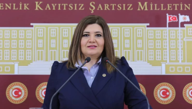 TBMM’de Terör Meşrulaştırılamaz