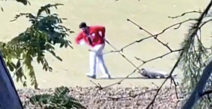 Edirne’de Hayvana Eziyet Tepkisi: Barınak Görevlisi Hakkında Soruşturma