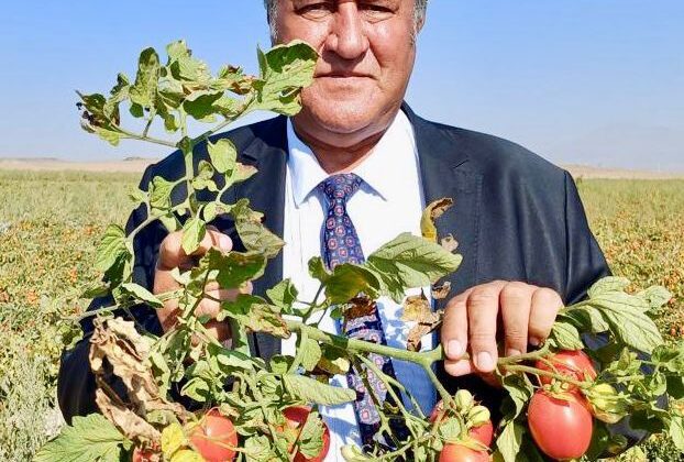 CHP’li Gürer: Türkiye Gıda Üretiminde Arz Açığıyla Karşı Karşıya