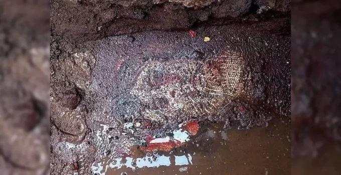 Dünyanın Gözü İznik’te